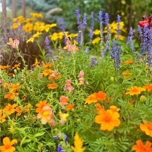 Meet your Posher, Jill